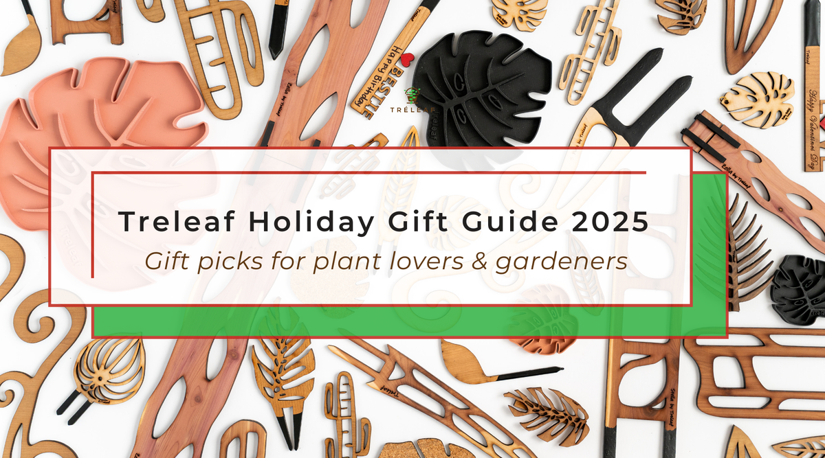 2025 Holiday Gift Guide for Plant Lovers