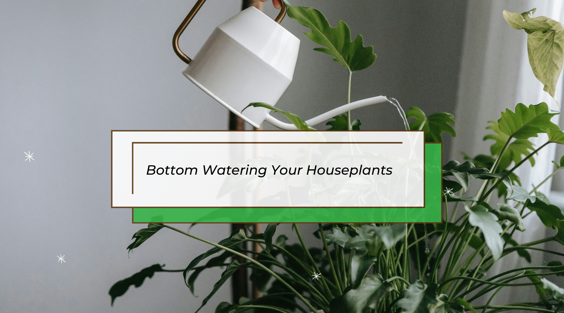 indoor succulent planter with drainage H Potter Herb Pot Indoor Window Succulent Planter with Drainage and Tray