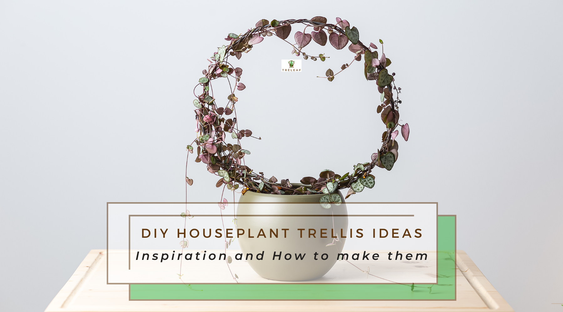 How To Make A DIY Plant Trellis For Pots For Indoor Plants - Modern on  Monticello