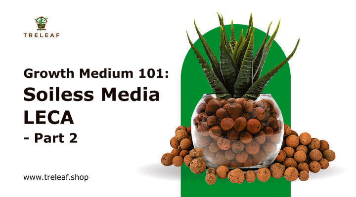 Growth Medium 101: Soilless media- LECA - Part 2 LECA