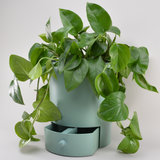 Classic 11" Drain Drawer Pot