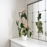 Bella extendable trellis with Potted houseplant on a white surface with a mirror reflecting the plant and trellis