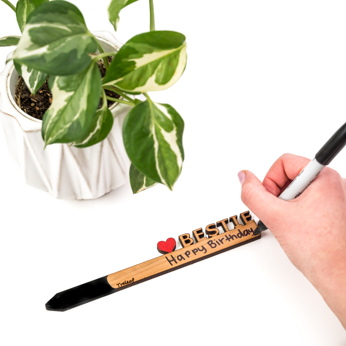 Celebration Stake - Writable stake for plant gift