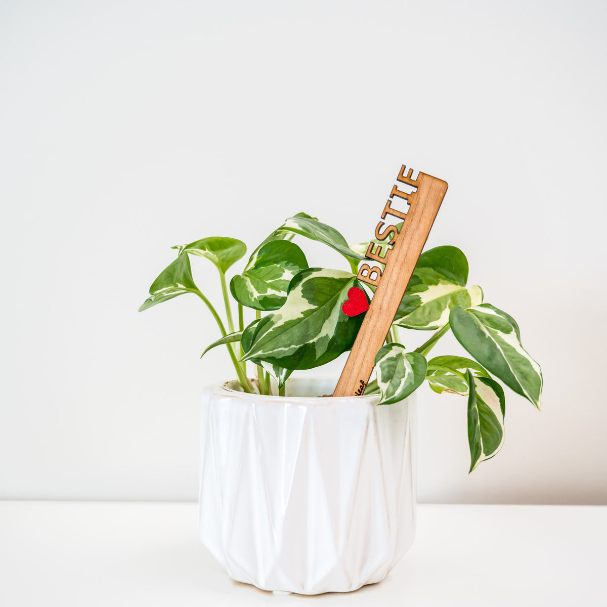 Celebration Stake - Writable stake for plant gift