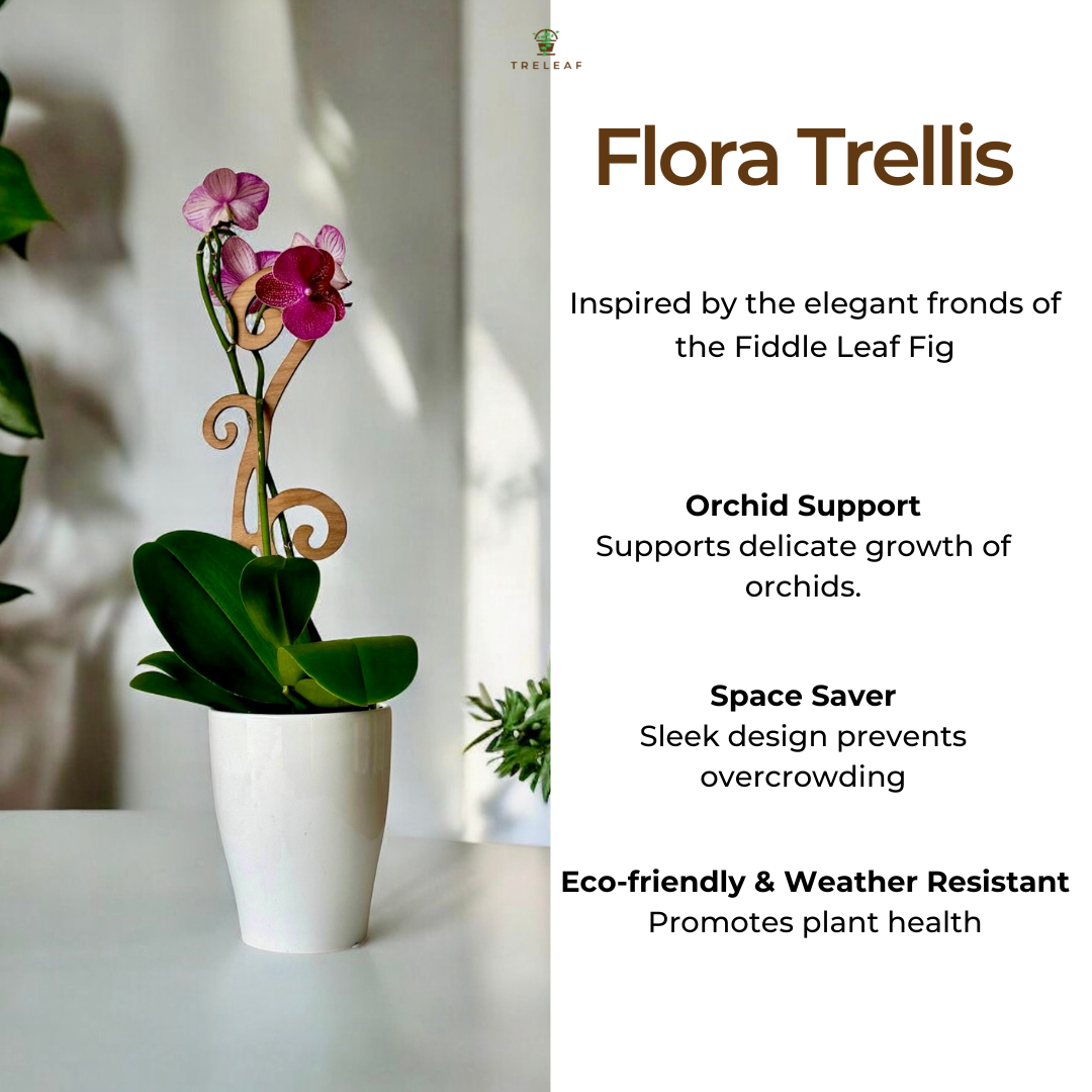 designer plant support for orchids