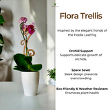 designer plant support for orchids
