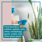 Instant Plant Food - The Complete Plant Care Bundle (Plant Food + ProBiotics + Natural Pest Control) for HOUSEPLANTS