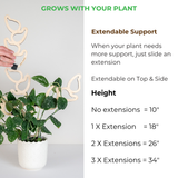 Kora plant support system with extendable extensions and plant growth information.