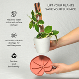 Lili plant sausr for houseplants waterproof humidity tray durable eco friendly