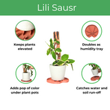Lili sausr as humidity tray , keeps plants elevated, adds style to plant, catches water run off