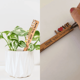 Love Stake wooden plant stake with handwritten message for plant gifting