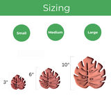 Sausr size chart in different size 3" 6 " 10" Monstera leaf shaped coaster for houseplant pot humidity tray waterproof