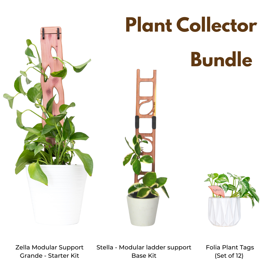 houseplant decor accessories Zella Modular Support Grande Starter Kit, Stella Modular Ladder Support Base Kit and folia plant tags with dimensions and components on a white background.
