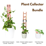 houseplant decor accessories Zella Modular Support Grande Starter Kit, Stella Modular Ladder Support Base Kit and folia plant tags with dimensions and components on a white background.