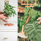 Monstera leaf shape coaster for houseplant pot humidity tray