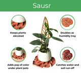 Sausr elevates plants, acts as humidity tray, adds color pop to plant pot, catches water & soil run-off