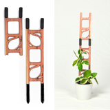 Stella modular ladder trellis made of cedarwood , stackable, plant support, ladder design in pot with pothos white plant pot