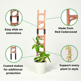 Stella modular ladder trellis made of cedarwood , stackable, plant support, ladder design for vining plants