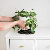 Monstera leaf shaped stylish designer plant coaster for houseplant pot humidity tray waterproof
