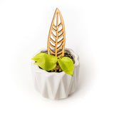 Small potted plant with a decorative wooden trellis inspired by anthurium plant on a white background