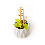 tiny philodendron houseplant with cactus shaped wooden trellis in a white pot on a white background