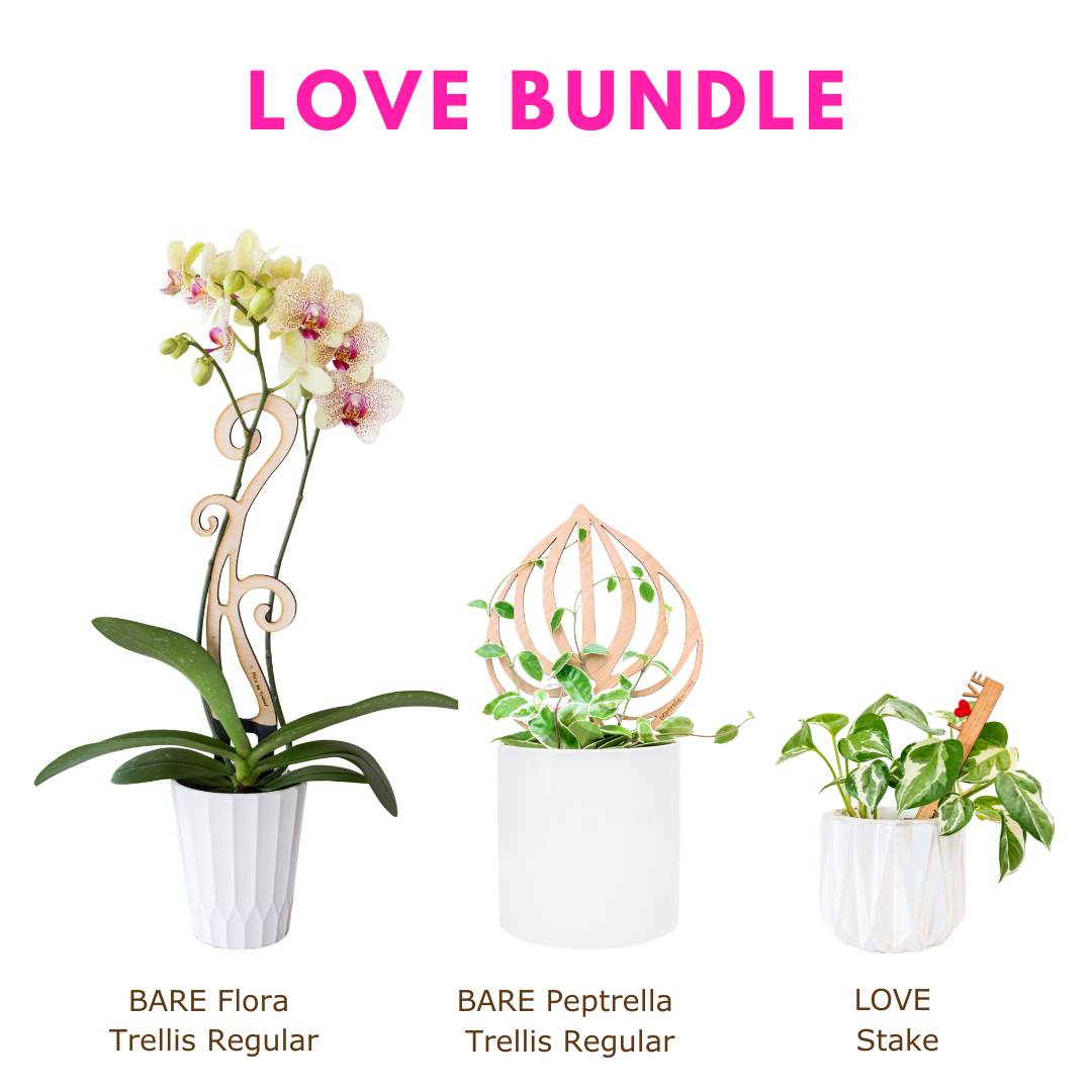Love Bundle