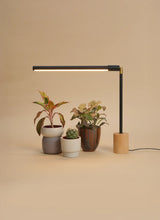 Versa™ Tabletop Grow Light