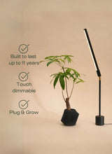 Versa™ Tabletop Grow Light