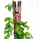 Angular Side Clips - Zella - 8 Pack