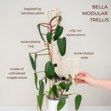Bella Modular Trellis with plant, showing extendable top and side, inspired by bamboo plant.