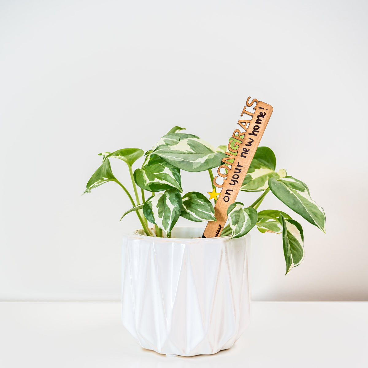 Celebration Stake - Writable stake for plant gift