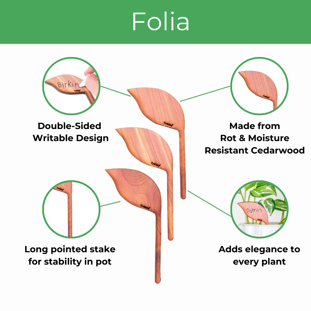 folia wooden plant tag features as double sided writeable deisgn, rot and moisture resistant cedarwood, long stake for stability and making plant stylish.