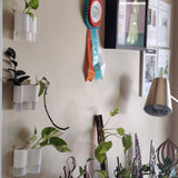 Klara Mini Vase - Wall Propagation Station - Set of 3