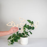 Person using a decorative wooden houseplant modular trellis with a white background