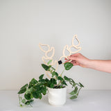 Hand using a clip on kora modular trellis extension on a plant against a light background