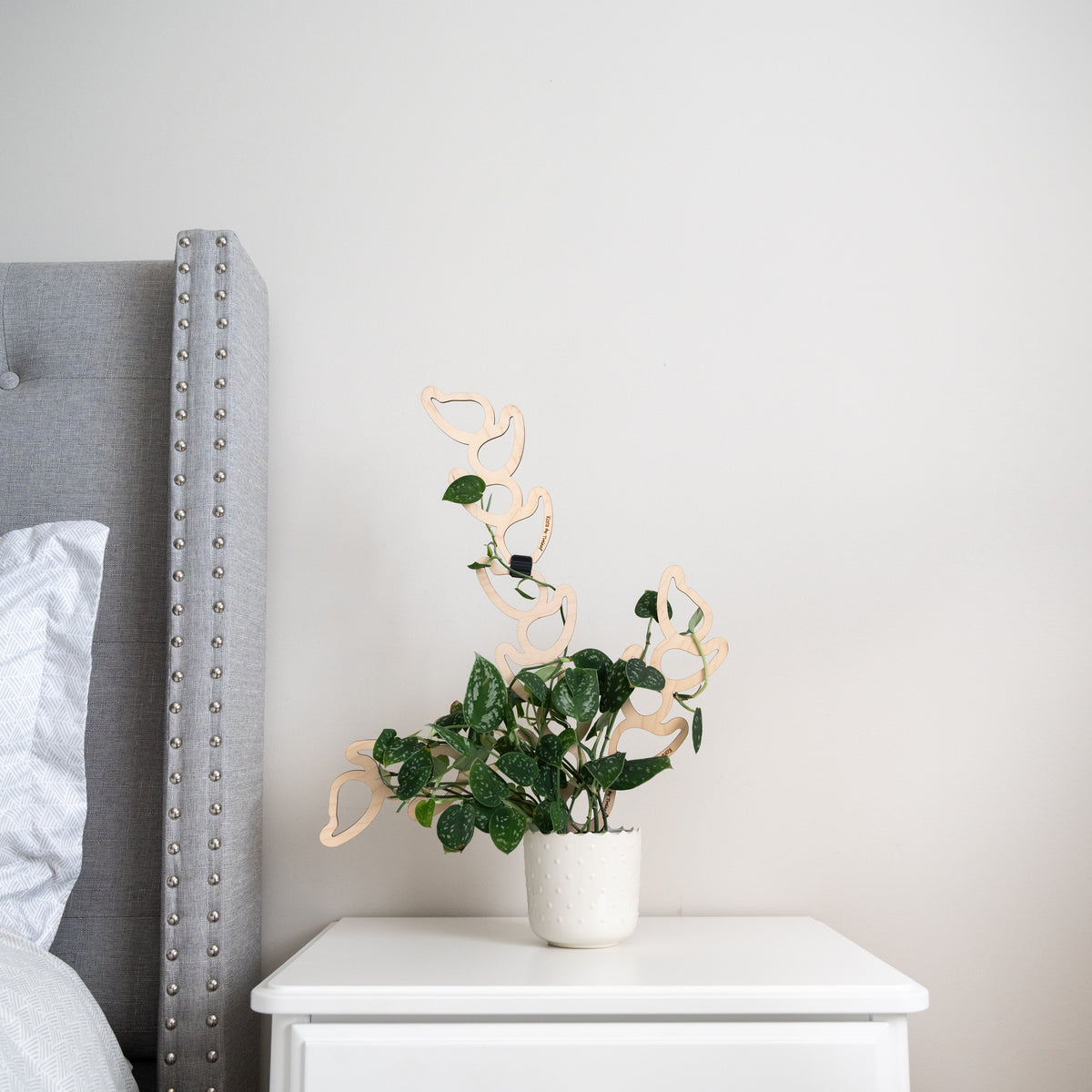 kora extendable wooden trellis on Potted plant on a white nightstand next to a gray upholstered headboard.