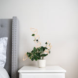 kora extendable wooden trellis on Potted plant on a white nightstand next to a gray upholstered headboard.