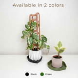 Three potted houseplants with treleaf wooden trellises and mia plant saucer in colors green, black on a white table, with text indicating availability in two colors.