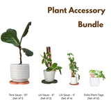decorative plant accessories including a Tera sausr 10" plant pot saucer , Lili sausr 6" plant pot saucer, lili sausr 4" plant pot saucer and folia plant tags on a white background.