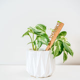 Celebration Stake - Writable stake for plant gift