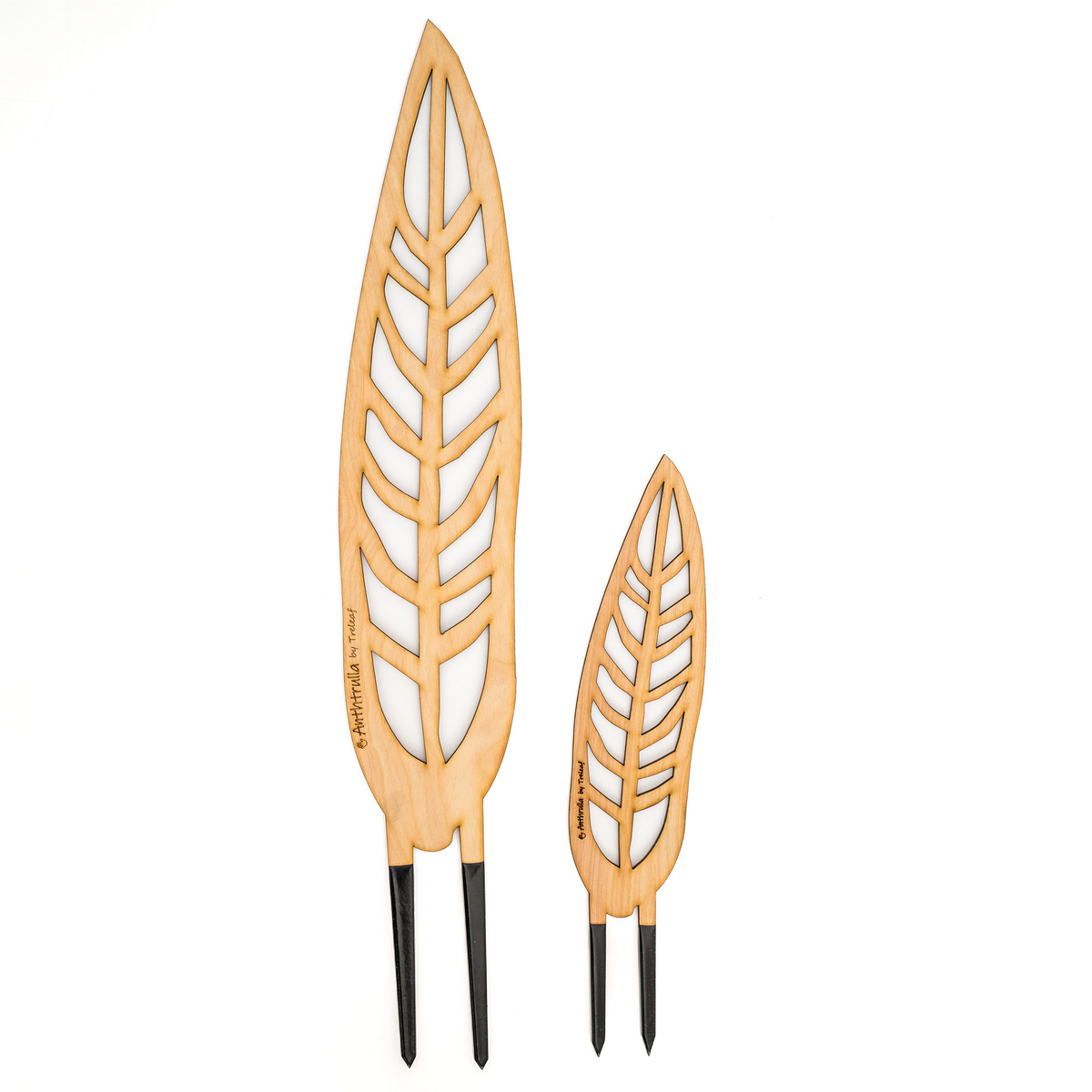 Grande and regular sized wooden plant supports shaped like queen anthurium leaves with engraving that says Anthrulla by treleaf