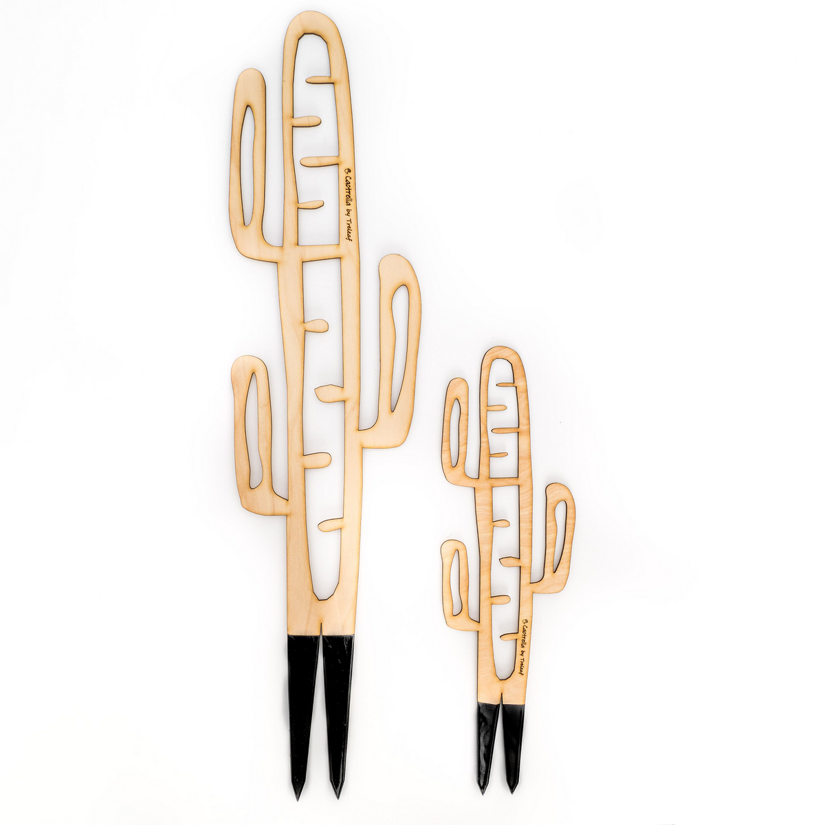 regular and grande sized cactrella plant stakes with black stakes and engraving saying Cactrella by Treleaf