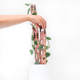 attaching extension to modular trellis with pothos