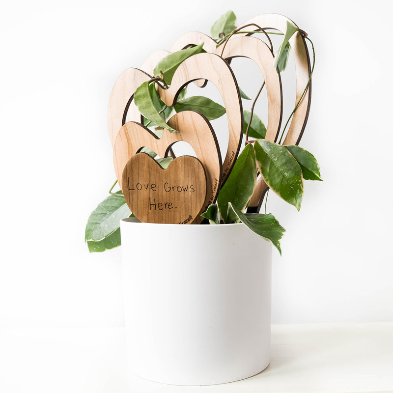 Trellove - Plant trellis inspired by Hoya Kerrii - 4 nested heart-shaped trellises + heart label
