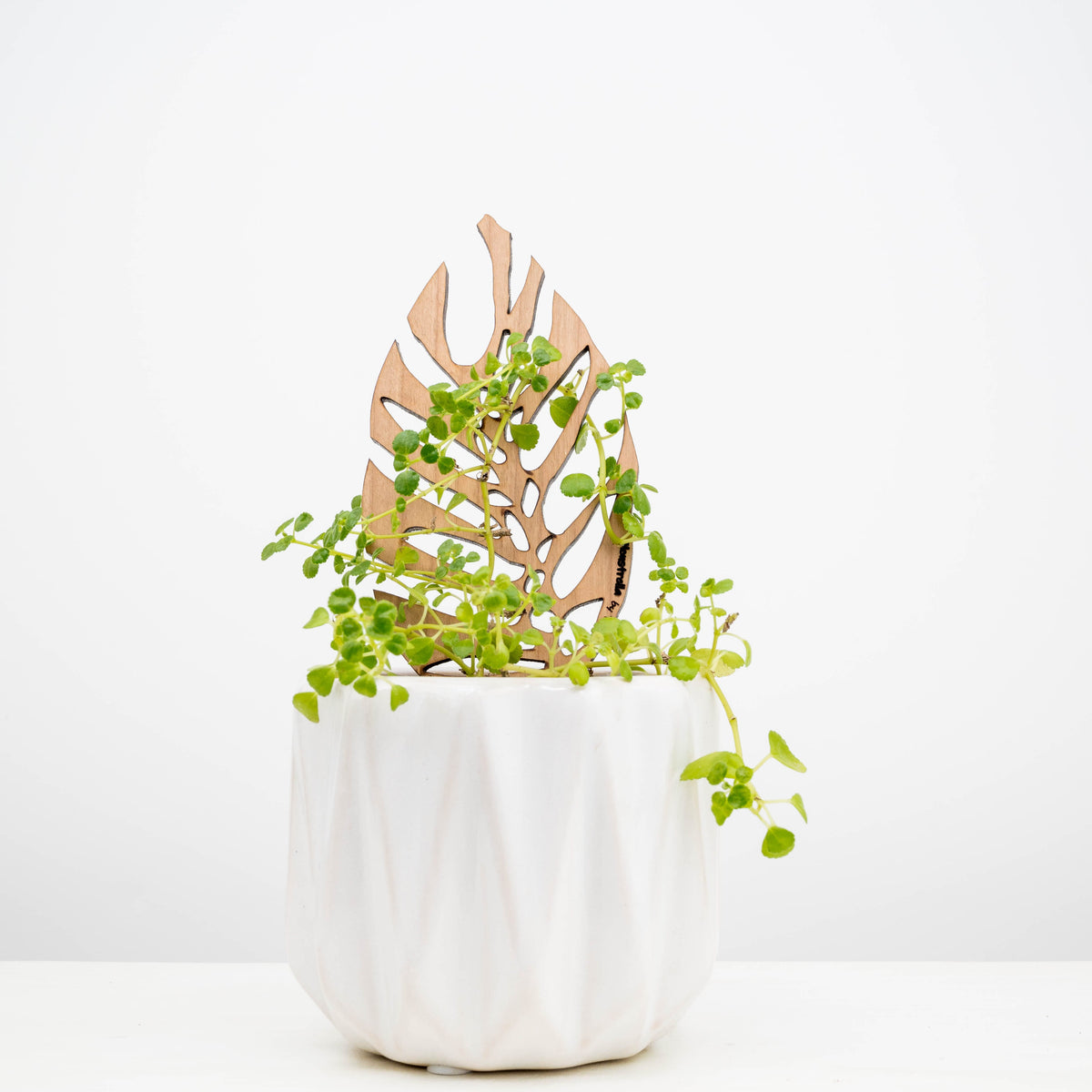Free Miniature Treleaf® Trellis Sample Pack - ONLY FOR VERIFIED RETAILERS