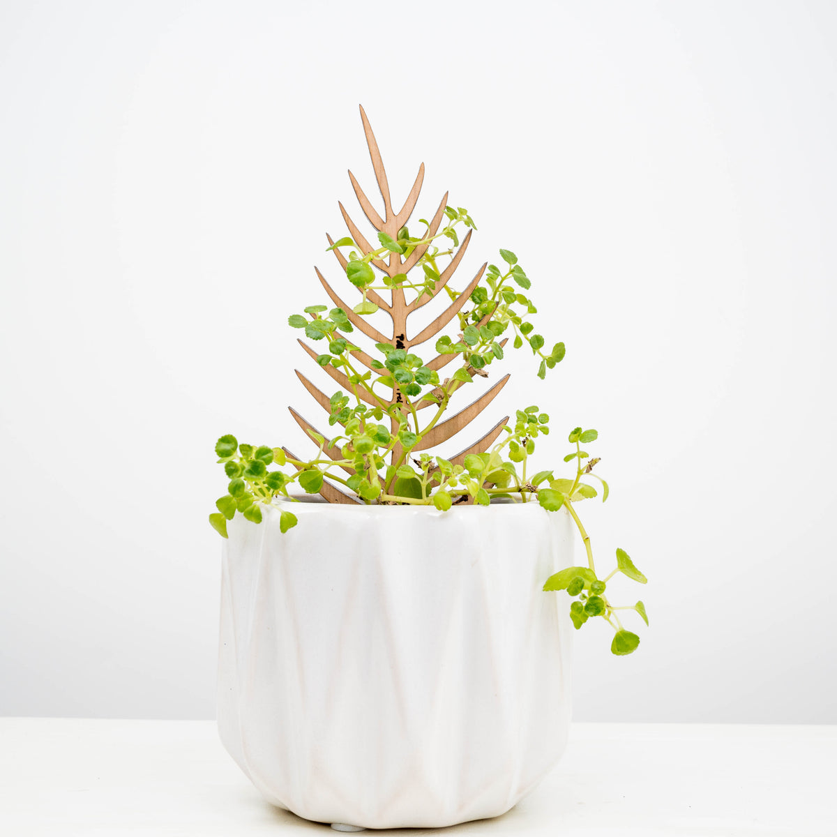 Free Miniature Treleaf® Trellis Sample Pack - ONLY FOR VERIFIED RETAILERS