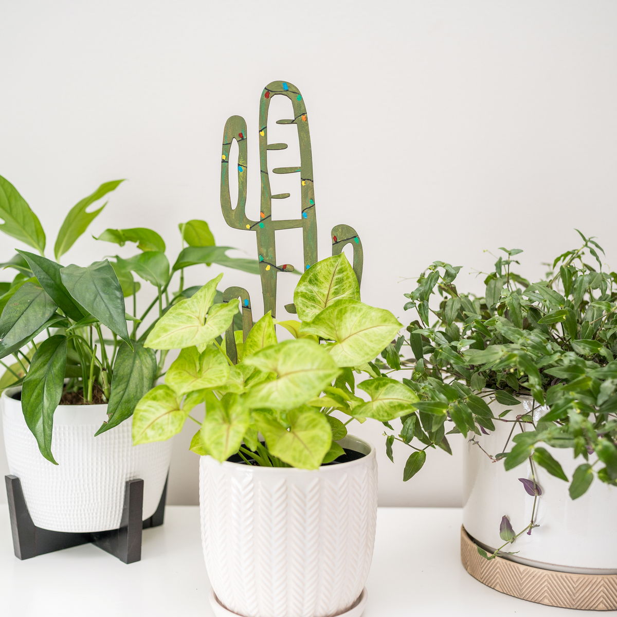 Painted cactrella trellis supporting a syngonium plant in a white pot