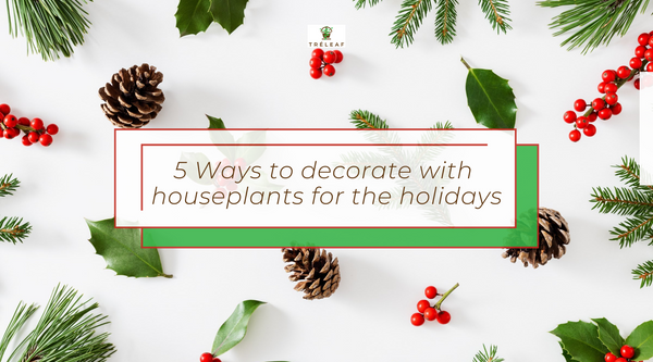 5 ways to decorate with houseplants for the holidays