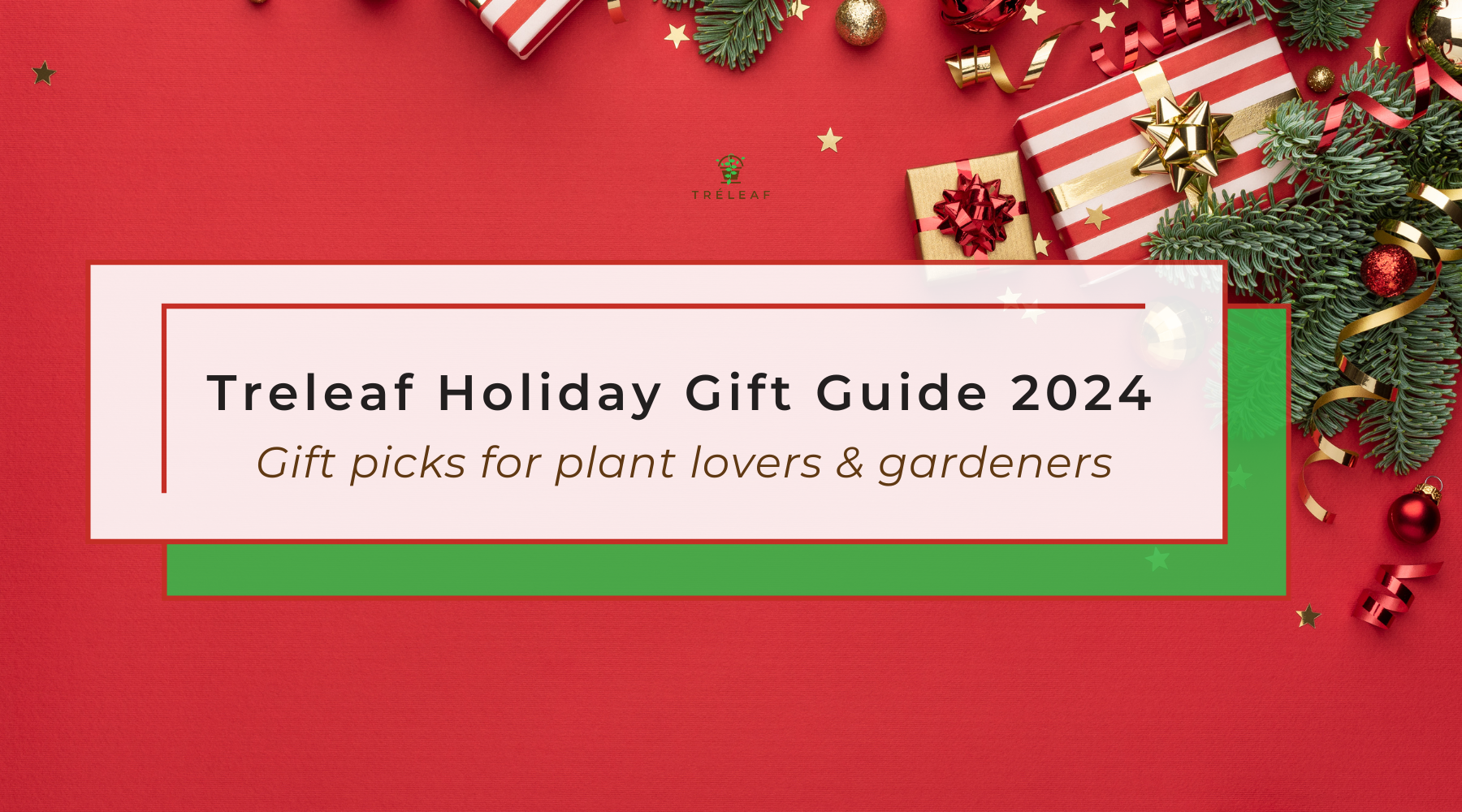 Blog_header_17_680ad5ab-c2ef-4abc-949d-194cec70b43a.png?v=1732555017