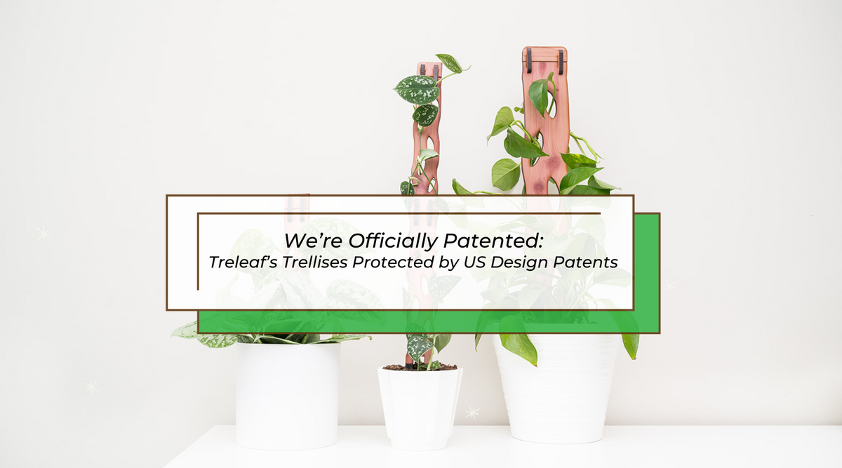 We’re Officially Patented: Treleaf’s Sculptural Trellises Protected by US Design Patents